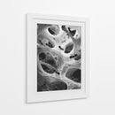 Hormigas en telarañas - DIEGO D L | Cuadro decorativo de Canvas Lab