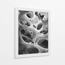 Hormigas en telarañas - DIEGO D L | Cuadro decorativo de Canvas Lab