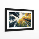 Bosque de otoño - DIEGO D L | Cuadro decorativo de Canvas Lab