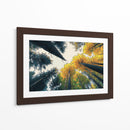Bosque de otoño - DIEGO D L | Cuadro decorativo de Canvas Lab