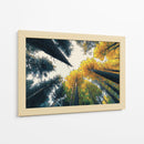 Bosque de otoño - DIEGO D L | Cuadro decorativo de Canvas Lab