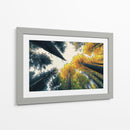 Bosque de otoño - DIEGO D L | Cuadro decorativo de Canvas Lab