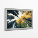 Bosque de otoño - DIEGO D L | Cuadro decorativo de Canvas Lab