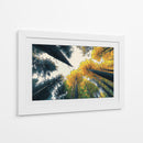 Bosque de otoño - DIEGO D L | Cuadro decorativo de Canvas Lab