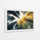 Bosque de otoño - DIEGO D L | Cuadro decorativo de Canvas Lab
