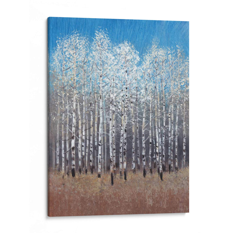 Birches De Cobalto I - Tim OToole | Cuadro decorativo de Canvas Lab