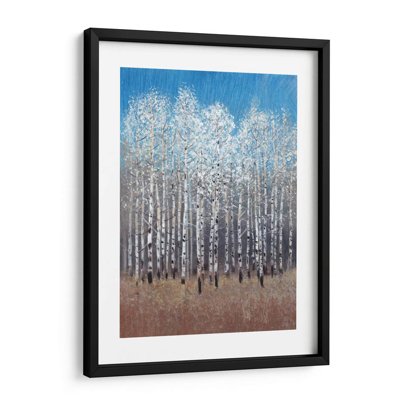 Birches De Cobalto I - Tim OToole | Cuadro decorativo de Canvas Lab