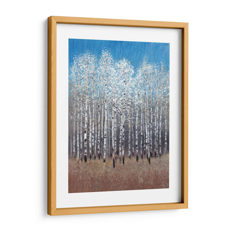 Birches De Cobalto I - Tim OToole | Cuadro decorativo de Canvas Lab