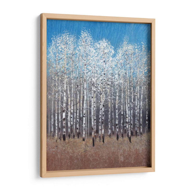 Birches De Cobalto I - Tim OToole | Cuadro decorativo de Canvas Lab