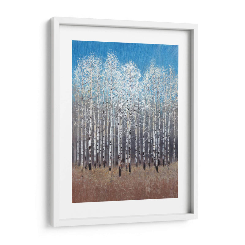 Birches De Cobalto I - Tim OToole | Cuadro decorativo de Canvas Lab