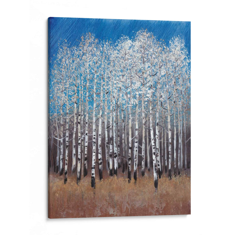 Birches Cobalt Ii - Tim OToole | Cuadro decorativo de Canvas Lab