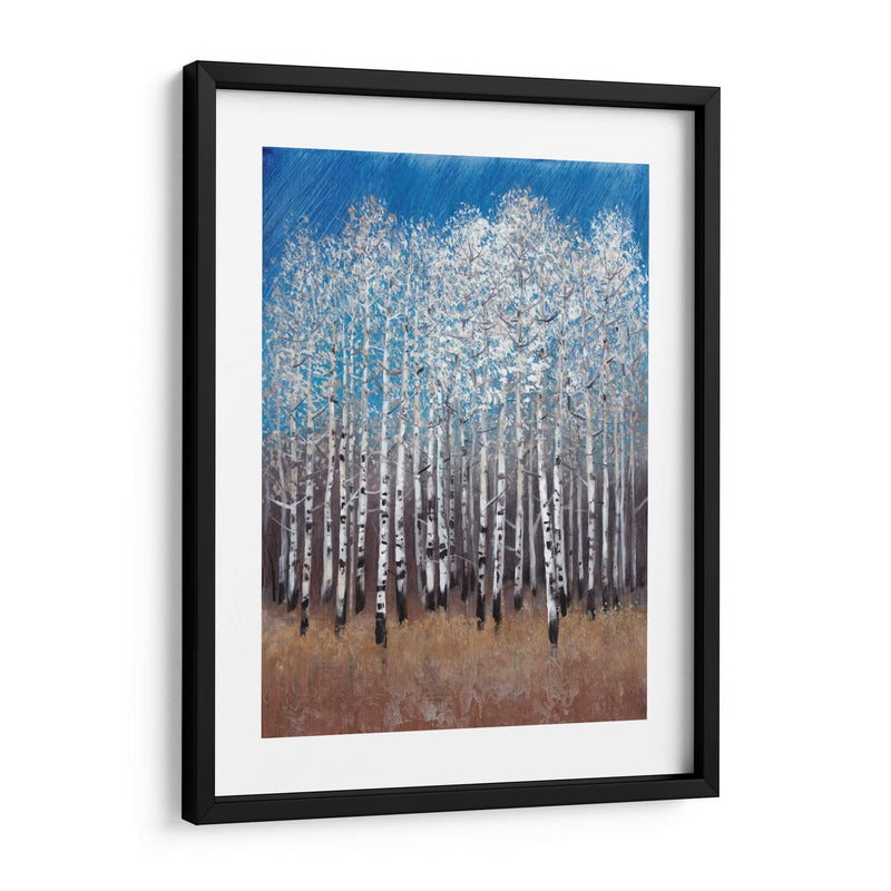 Birches Cobalt Ii - Tim OToole | Cuadro decorativo de Canvas Lab