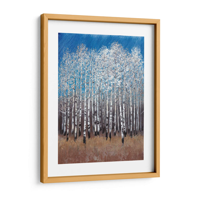 Birches Cobalt Ii - Tim OToole | Cuadro decorativo de Canvas Lab