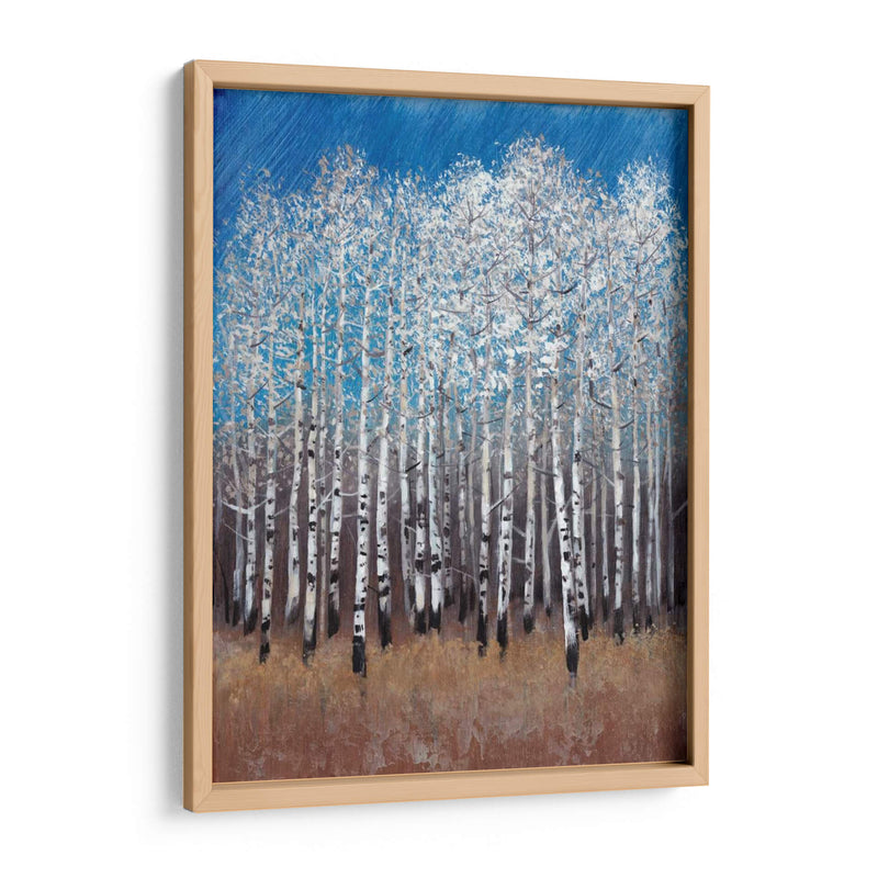 Birches Cobalt Ii - Tim OToole | Cuadro decorativo de Canvas Lab