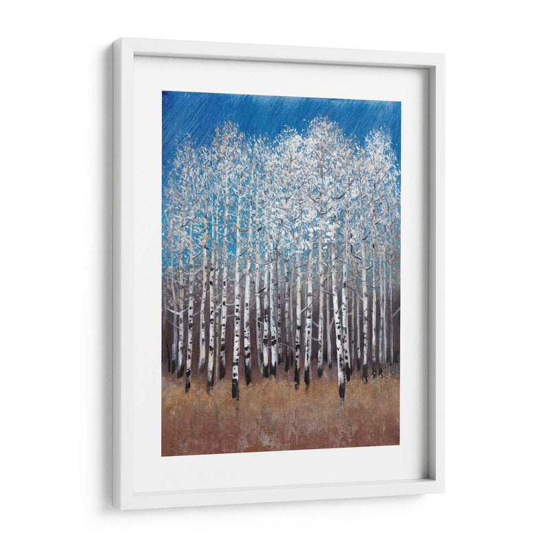 Birches Cobalt Ii - Tim OToole | Cuadro decorativo de Canvas Lab