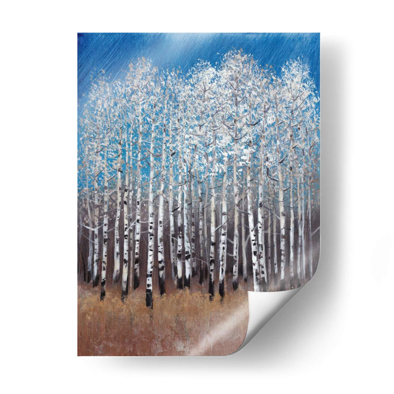 Birches Cobalt Ii - Tim OToole | Cuadro decorativo de Canvas Lab