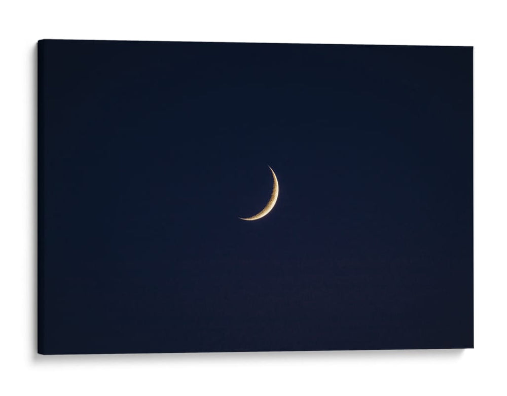 Luna de parque - Onisered | Cuadro decorativo de Canvas Lab