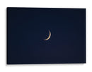 Luna de parque - Onisered | Cuadro decorativo de Canvas Lab