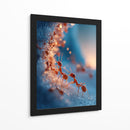 Hormigas - DIEGO D L | Cuadro decorativo de Canvas Lab