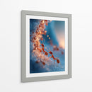 Hormigas - DIEGO D L | Cuadro decorativo de Canvas Lab