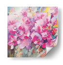 Bougainvillea Rosada 01 - Hugo Bello | Cuadro decorativo de Canvas Lab