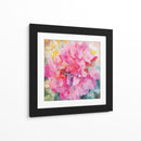 Bougainvillea Rosada 03 - Hugo Bello | Cuadro decorativo de Canvas Lab