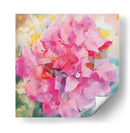 Bougainvillea Rosada 03 - Hugo Bello | Cuadro decorativo de Canvas Lab
