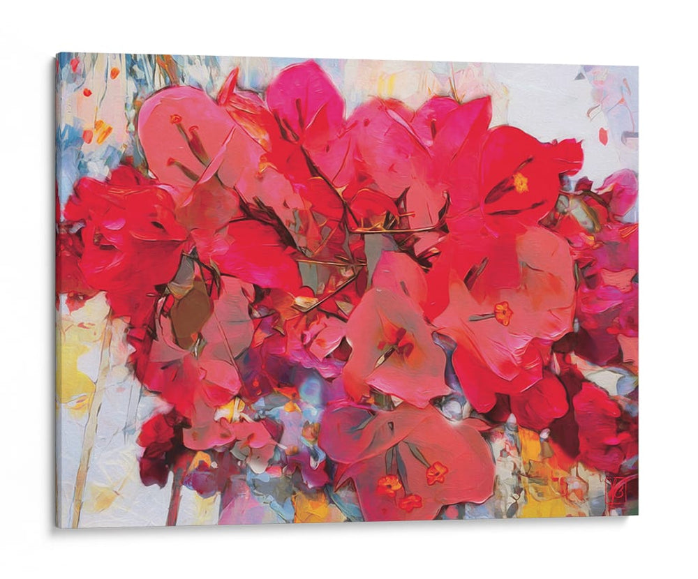 Bougainvillea Roja 01 Rectangular - Hugo Bello | Cuadro decorativo de Canvas Lab