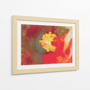 Cayena Naranja 02 Rectangular - Hugo Bello | Cuadro decorativo de Canvas Lab