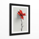 Bosquejo de flor de noche buena - DIEGO D L | Cuadro decorativo de Canvas Lab