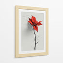 Bosquejo de flor de noche buena - DIEGO D L | Cuadro decorativo de Canvas Lab
