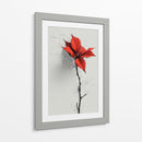 Bosquejo de flor de noche buena - DIEGO D L | Cuadro decorativo de Canvas Lab