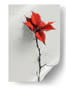 Bosquejo de flor de noche buena - DIEGO D L | Cuadro decorativo de Canvas Lab