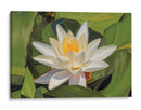 Loto Blanco Silencioso - Carlos Franken | Cuadro decorativo de Canvas Lab