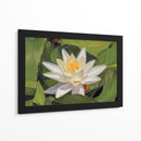 Loto Blanco Silencioso - Carlos Franken | Cuadro decorativo de Canvas Lab