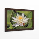 Loto Blanco Silencioso - Carlos Franken | Cuadro decorativo de Canvas Lab