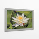 Loto Blanco Silencioso - Carlos Franken | Cuadro decorativo de Canvas Lab