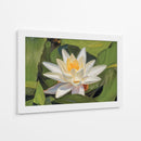 Loto Blanco Silencioso - Carlos Franken | Cuadro decorativo de Canvas Lab