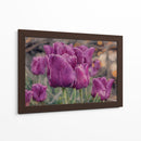 Susurro de Tulipanes Violetas - Carlos Franken | Cuadro decorativo de Canvas Lab