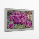 Susurro de Tulipanes Violetas - Carlos Franken | Cuadro decorativo de Canvas Lab
