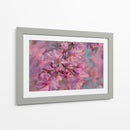 Floración Suave de Sakura - Carlos Franken | Cuadro decorativo de Canvas Lab