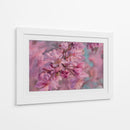 Floración Suave de Sakura - Carlos Franken | Cuadro decorativo de Canvas Lab