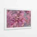 Floración Suave de Sakura - Carlos Franken | Cuadro decorativo de Canvas Lab