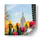 Primavera en el Empire State - Carlos Franken | Cuadro decorativo de Canvas Lab