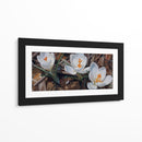 Floración de Crocus Blanco - Carlos Franken | Cuadro decorativo de Canvas Lab