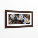 Floración de Crocus Blanco - Carlos Franken | Cuadro decorativo de Canvas Lab