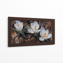 Floración de Crocus Blanco - Carlos Franken | Cuadro decorativo de Canvas Lab