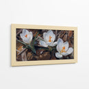 Floración de Crocus Blanco - Carlos Franken | Cuadro decorativo de Canvas Lab