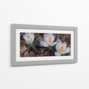 Floración de Crocus Blanco - Carlos Franken | Cuadro decorativo de Canvas Lab