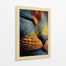 Gato colorido - DIEGO D L | Cuadro decorativo de Canvas Lab